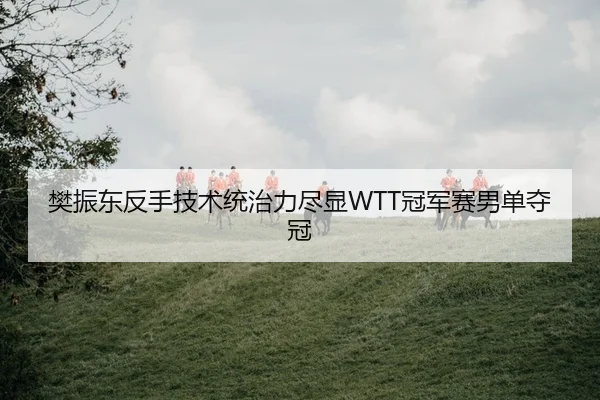 樊振东反手技术统治力尽显WTT冠军赛男单夺冠